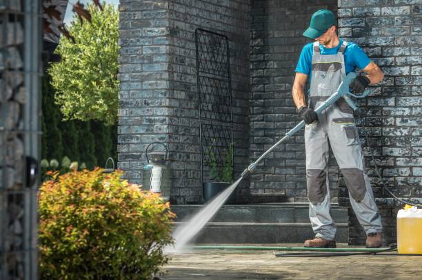 Animal Enclosure Cleaning in Kings Beach, CA